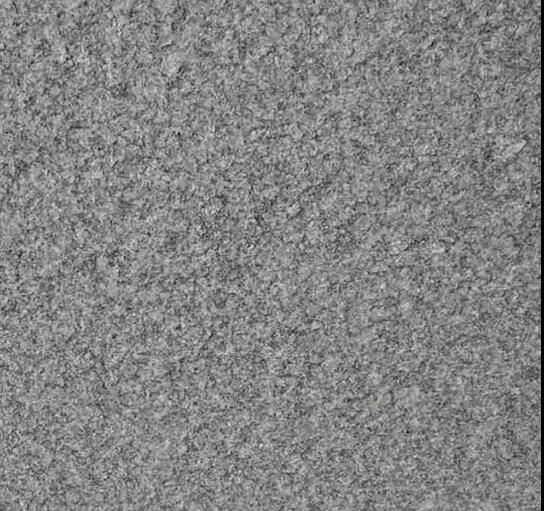 _20210125091610 _20210125091610